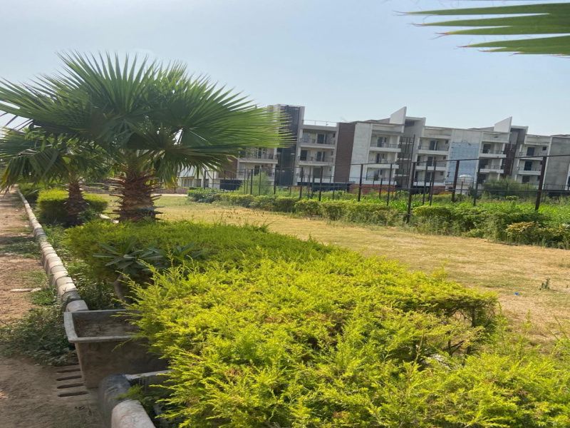  250 Sq. Yards Residential Plot for Sale in Sector 123 Mohali