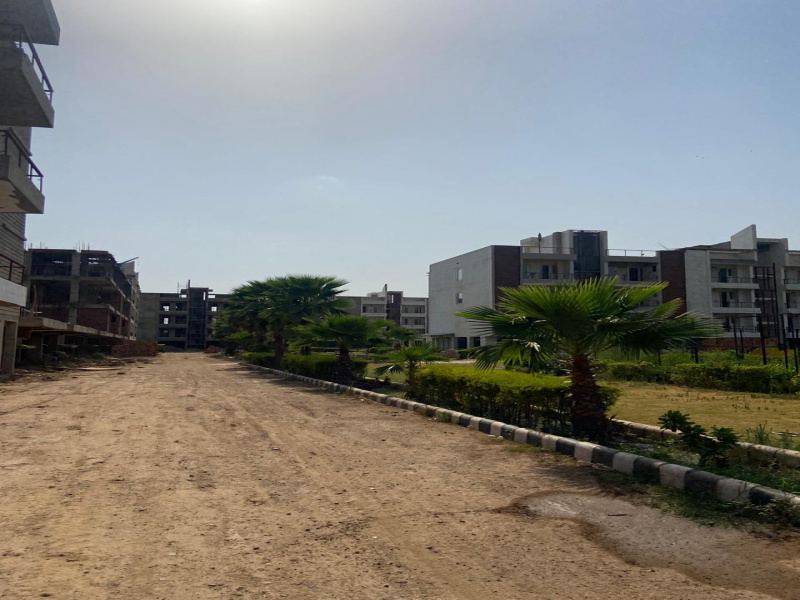 250 Sq. Yards Residential Plot for Sale in Sector 123 Mohali