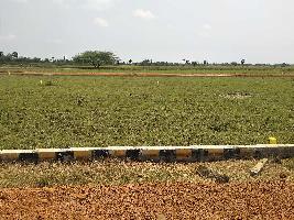 Agricultural Land for Sale in B V Nagar, Nellore