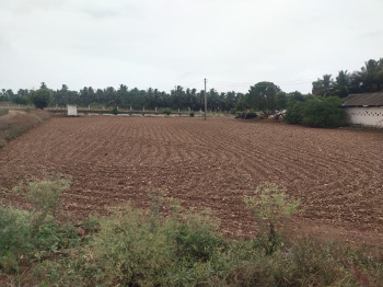  Agricultural Land for Sale in Vadasithur, Coimbatore