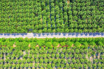  Agricultural Land for Sale in Thondamuthur, Coimbatore