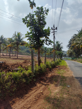 Agricultural Land for Sale in Agali, Palakkad