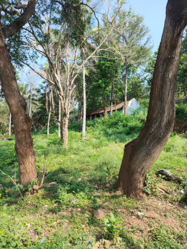  Agricultural Land for Sale in Anaikatti, Coimbatore