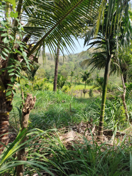  Agricultural Land for Sale in Alandurai, Coimbatore