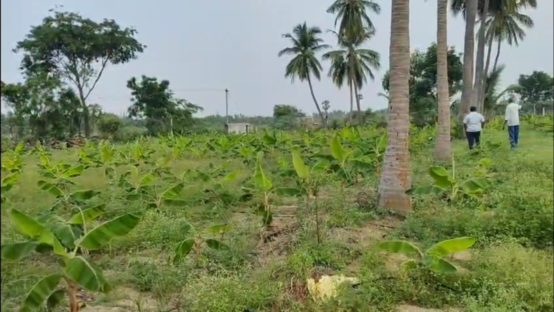 Madampatti, Coimbatore photo 2
