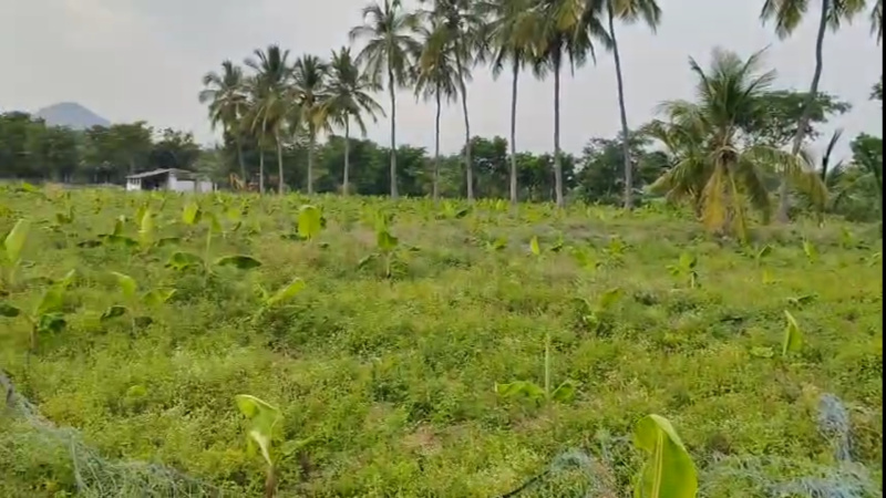Madampatti, Coimbatore photo 3