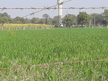  Agricultural Land for Sale in Sector 32 Gurgaon