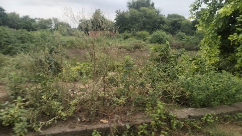 95 Bigha Residential Plot for Sale in Khairthal, Alwar