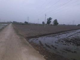 Agricultural Land for Sale in G T Road, Moga