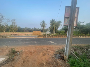  Agricultural Land for Sale in Dwaraka Tirumala, West Godavari