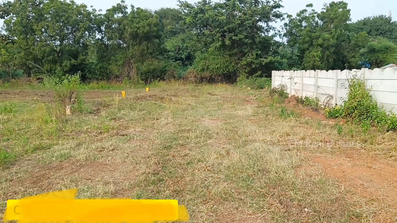  Residential Plot 220 Sq. Yards for Sale in Raghunadhapalem, Khammam