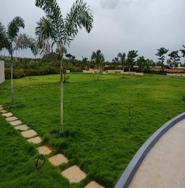  167 Sq. Yards Residential Plot for Sale in Achutapuram, Visakhapatnam