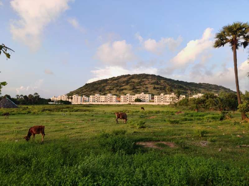 Residential Plot 333 Sq. Yards for Sale in Achutapuram, Visakhapatnam