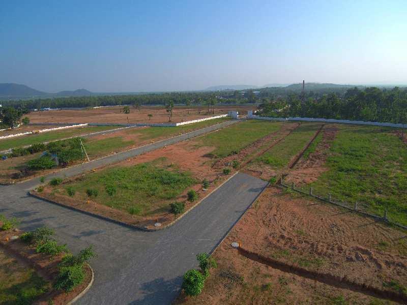  Residential Plot 220 Sq. Yards for Sale in Polipalli, Visakhapatnam