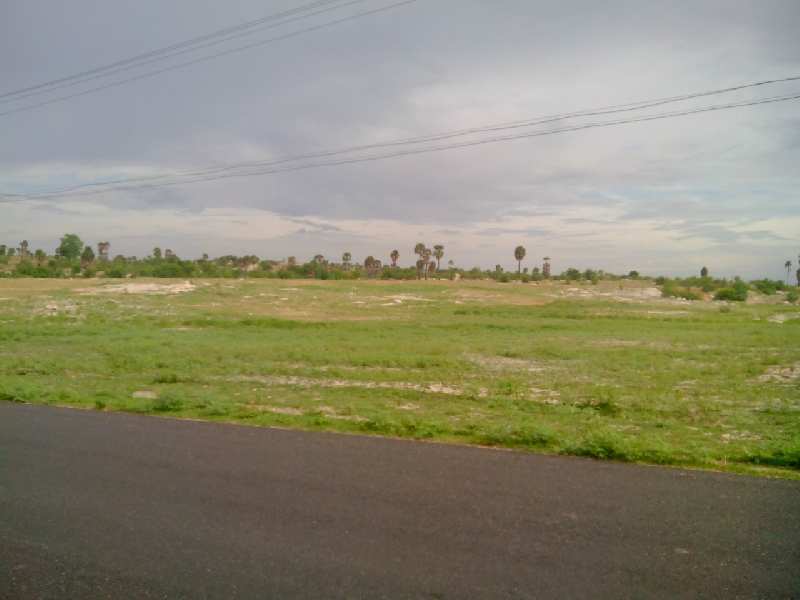 Agricultural Land 5 Acre for Sale in Punjai Puliampatti, Erode