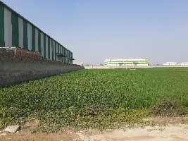  Industrial Land for Sale in Jhundpur, Sonipat