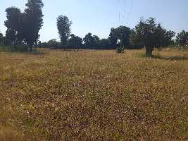  Agricultural Land for Sale in Takhatgarh, Pali
