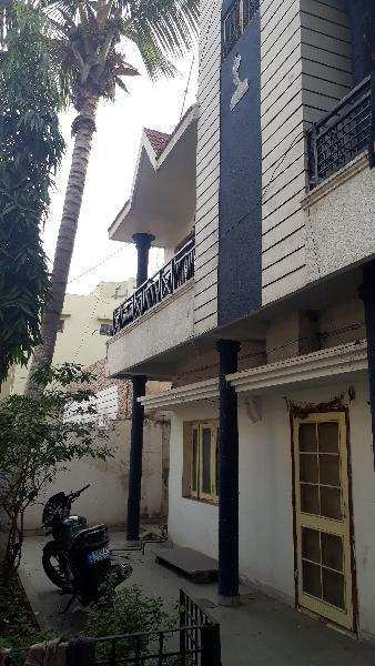 3 BHK House 1500 Sq.ft. for Rent in Shailendra Nagar, Raipur