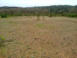  Residential Plot for Sale in Patia, Bhubaneswar