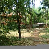  Residential Plot for Sale in Puranattukara, Thrissur