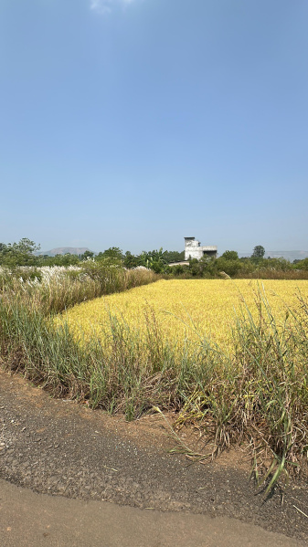  Residential Plot 11 Guntha for Sale in Lonavala, Pune