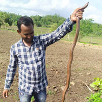  Agricultural Land for Sale in Sambhaji Nagar, Yavatmal