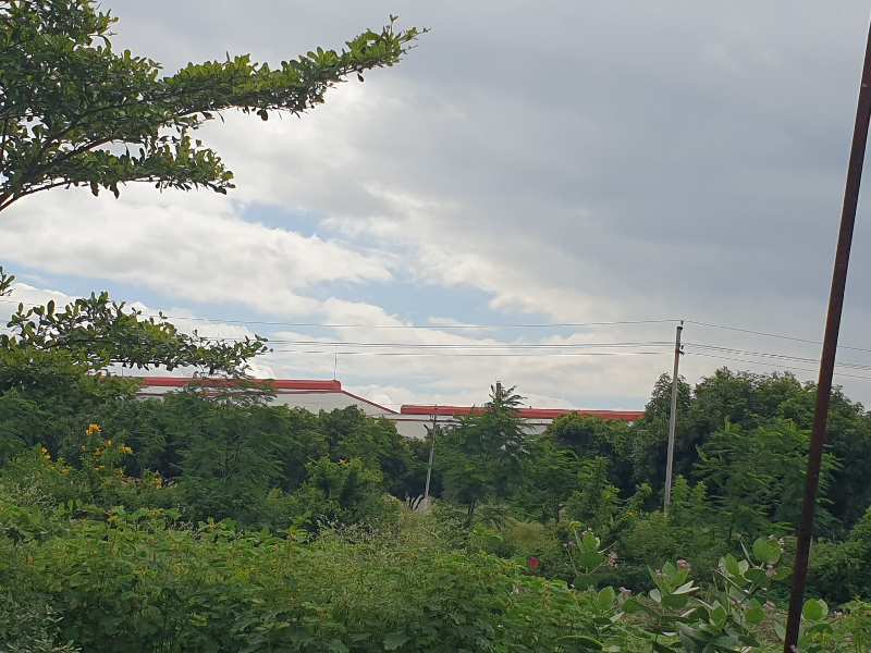 Elevation