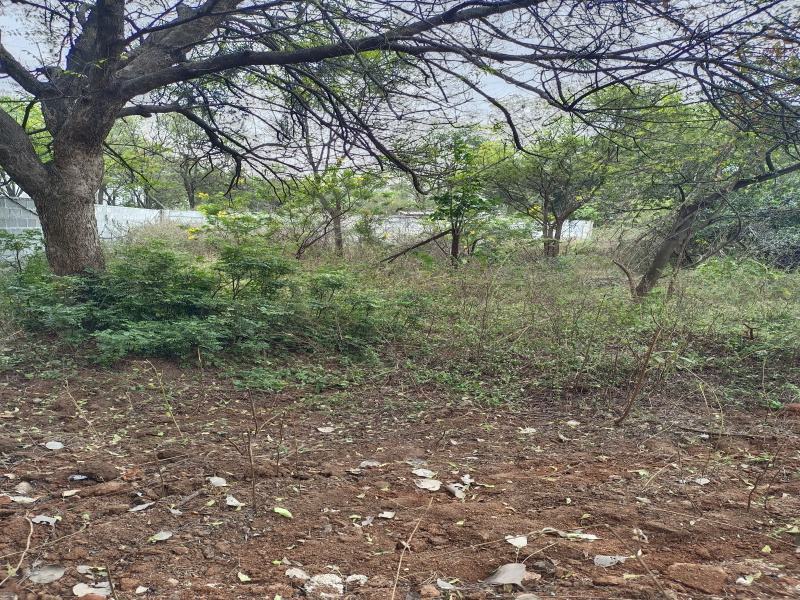  Residential Plot 280 Sq. Yards for Sale in Kondapur, Hyderabad