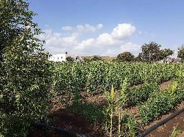  Agricultural Land for Sale in Talikota, Bijapur