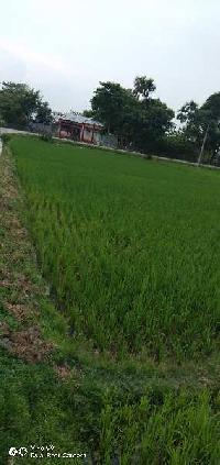  Agricultural Land for Sale in Sobhaganj, Alipurduar