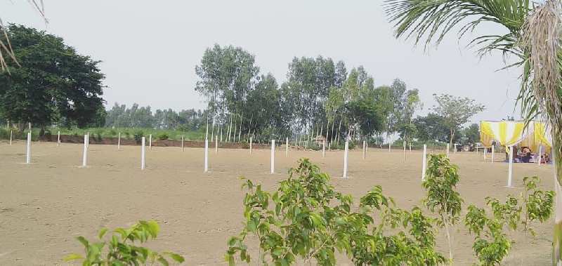 Residential Plot 200 Sq. Yards for Sale in Tappal, Aligarh