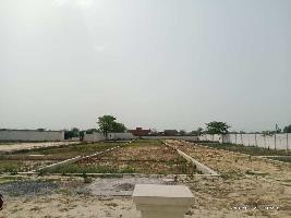  Residential Plot for Sale in Yamuna Expressway, Greater Noida