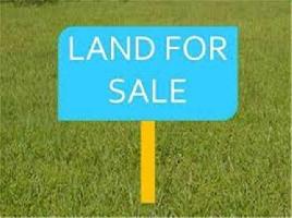  Agricultural Land for Sale in Kalna, Bardhaman