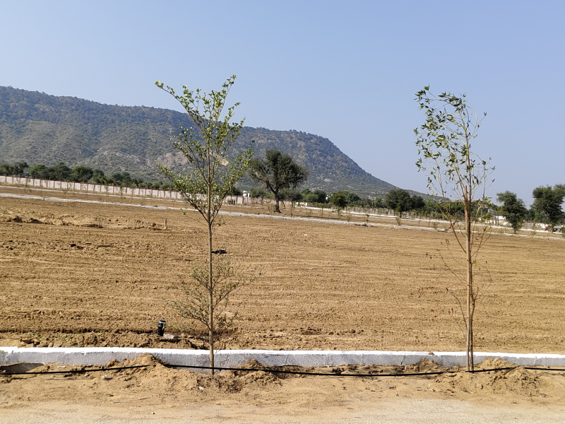  600 Sq. Yards Residential Plot for Sale in Bagru, Jaipur