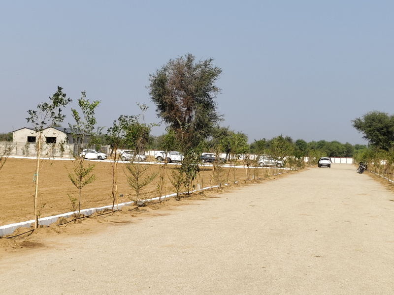  600 Sq. Yards Residential Plot for Sale in Bagru, Jaipur