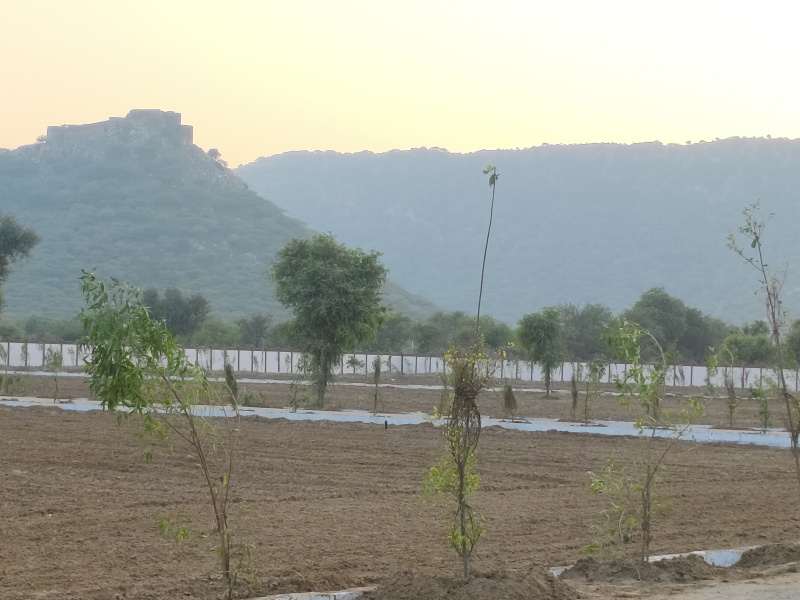 1 RK 9000 Sq.ft. Farm House for Sale in Ajmer Road, Ajmer Road, Jaipur