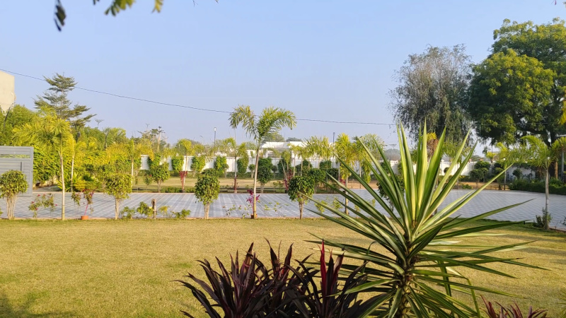 3.5 BHK 32400 Sq.ft. Farm House for Sale in Kalwar Road, Jaipur