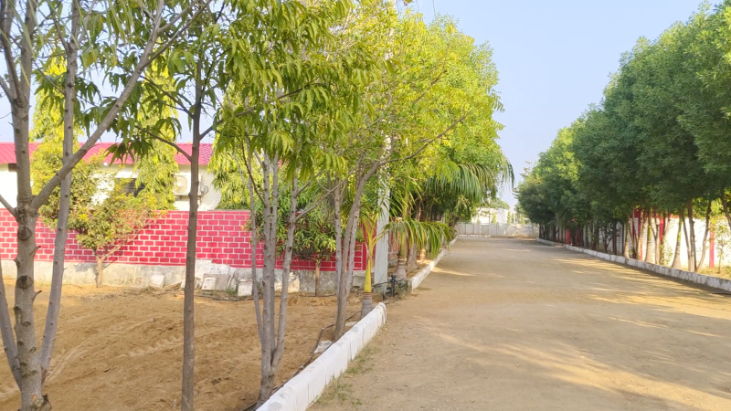  1000 Sq.ft. Residential Plot for Sale in Kalwar Road, Jaipur