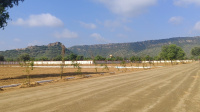 Residential Plot for Sale in Ajmer Road, Jaipur