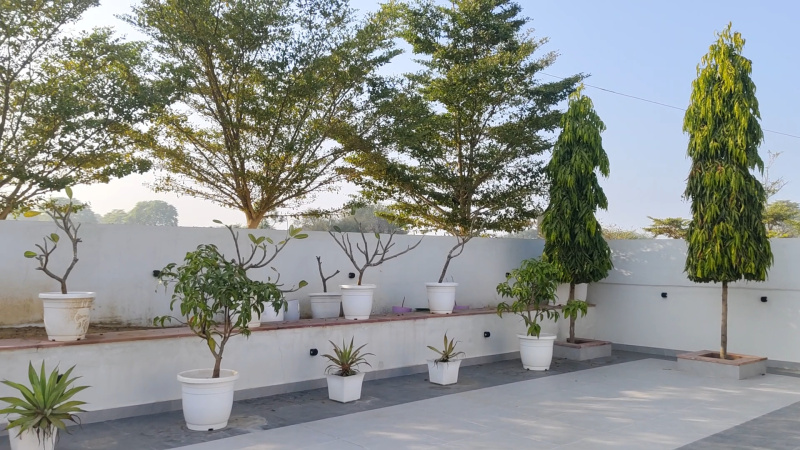 2 BHK 4500 Sq.ft. Farm House for Sale in Kalwar Road, Jaipur