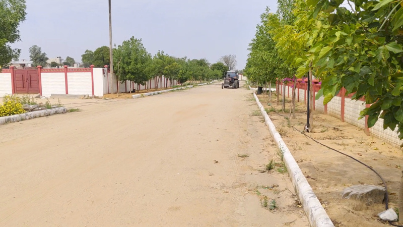  500 Sq. Yards Residential Plot for Sale in Kalwar Road, Jaipur