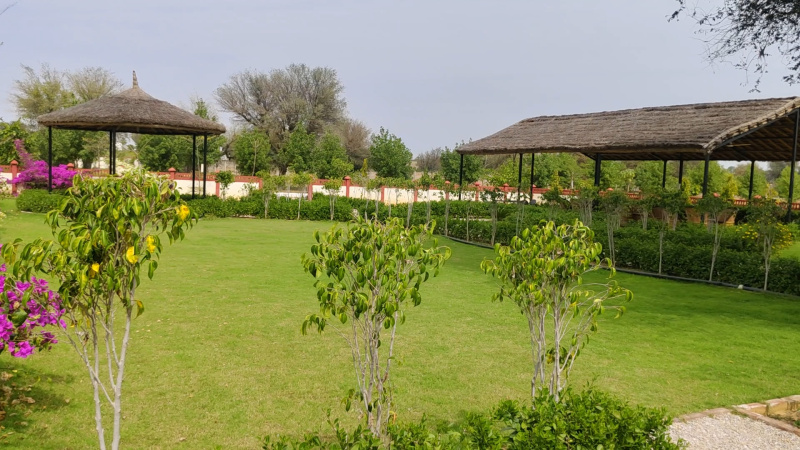  2000 Sq.ft. Residential Plot for Sale in Kalwar Road, Jaipur
