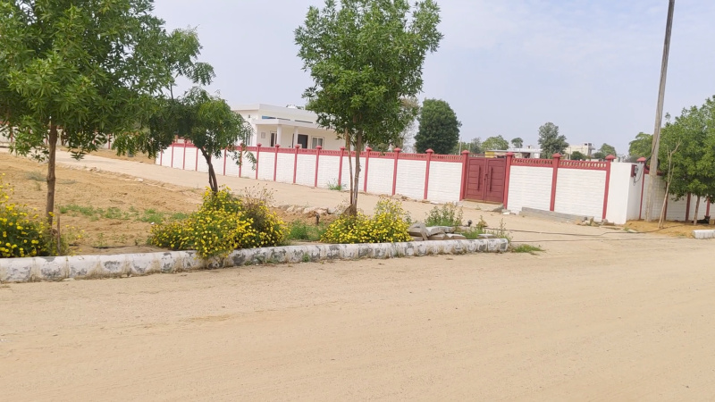  600 Sq. Yards Residential Plot for Sale in Kalwar Road, Jaipur