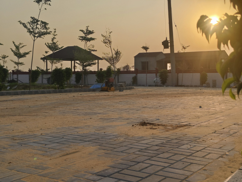 Jobner, Jaipur photo 4