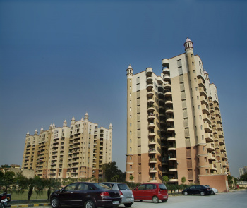  Penthouse for Rent in Sector 49 Gurgaon