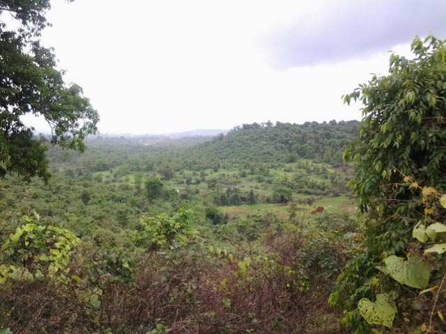 Residential Plot 8 Acre for Sale in