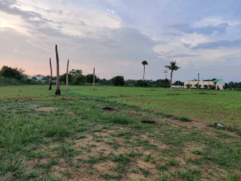 Farm Land for Sale in Puliyur, Karur (REI860756)