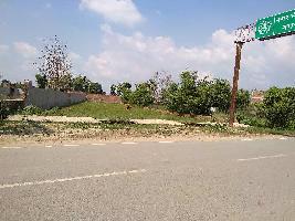  Commercial Land for Sale in Piparpati, Deoria