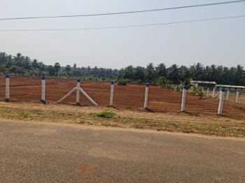  Agricultural Land for Sale in Sohna Palwal Road, Gurgaon