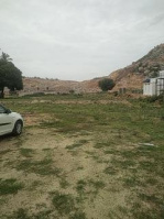  Agricultural Land for Sale in Bhongir, Yadadri Bhuvanagiri